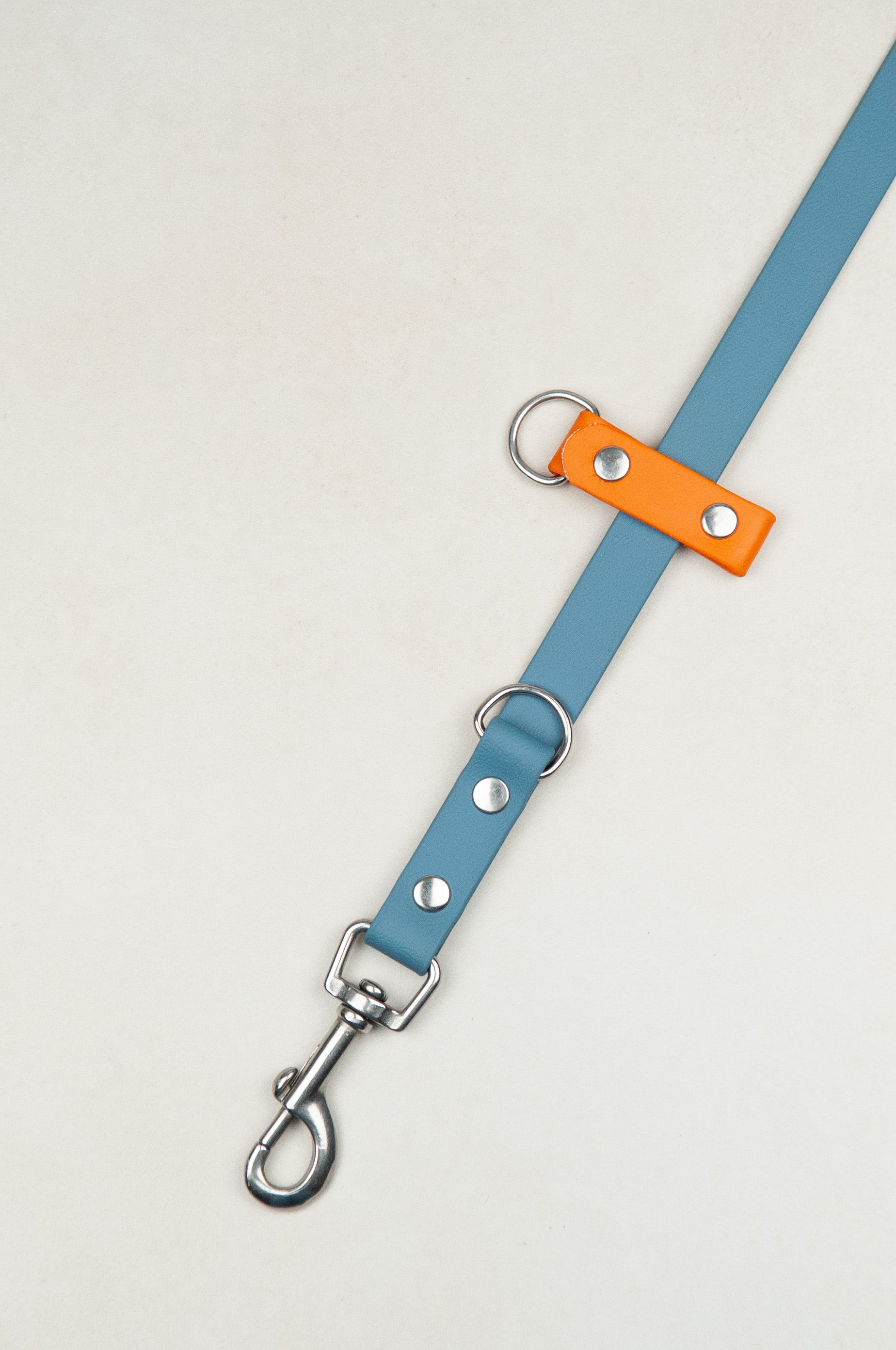 BioThane Set Hundeleine & Halsband | Petrol & Pumpkin