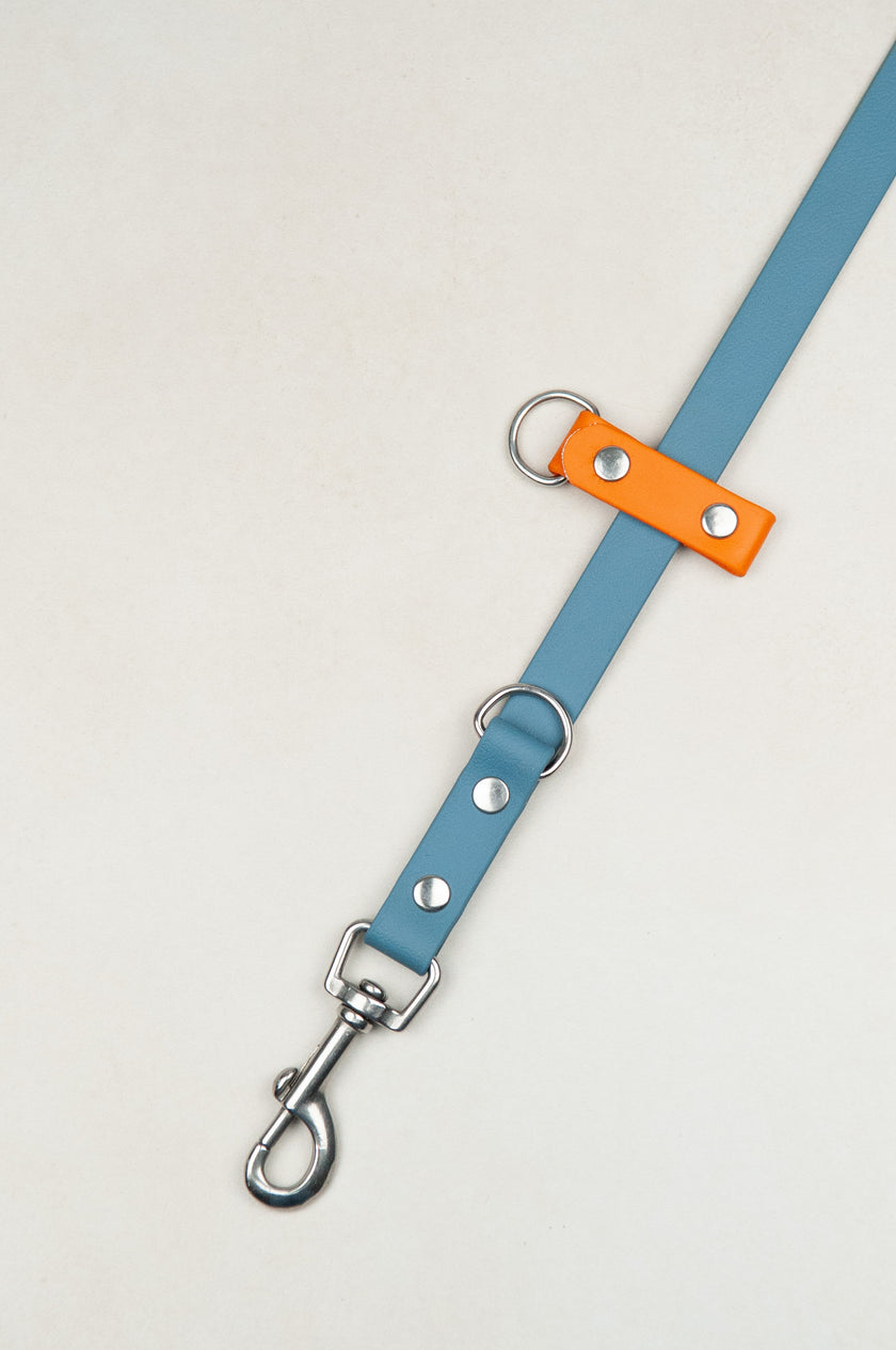 BioThane Set Hundeleine & Halsband | Petrol & Pumpkin