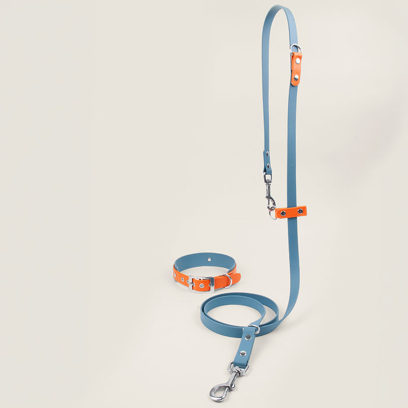 BioThane Set Hundeleine & Halsband | Petrol & Pumpkin