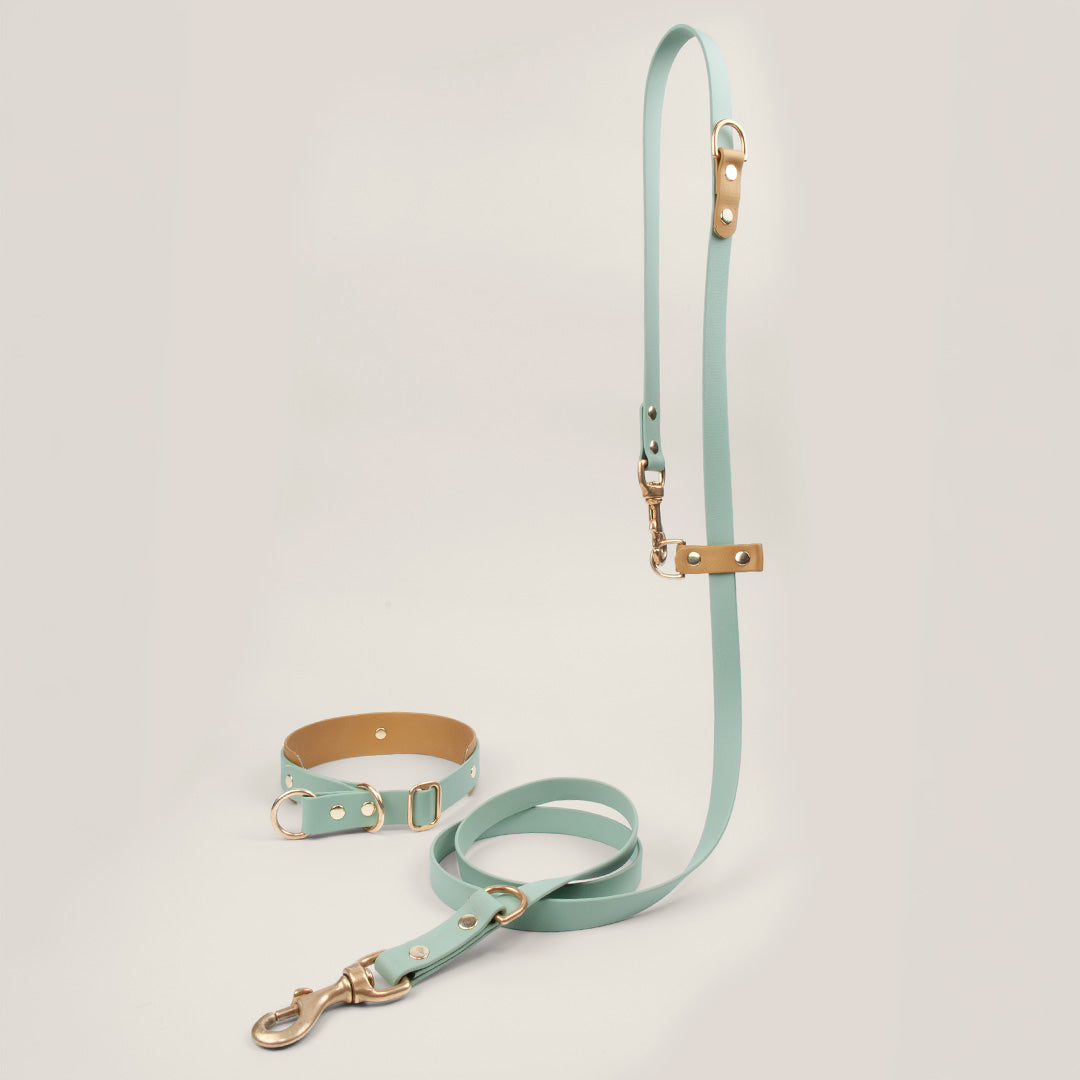 BioThane Set Hundeleine & Halsband | Salbei & Gold