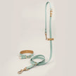BioThane Set Hundeleine & Halsband | Salbei & Gold