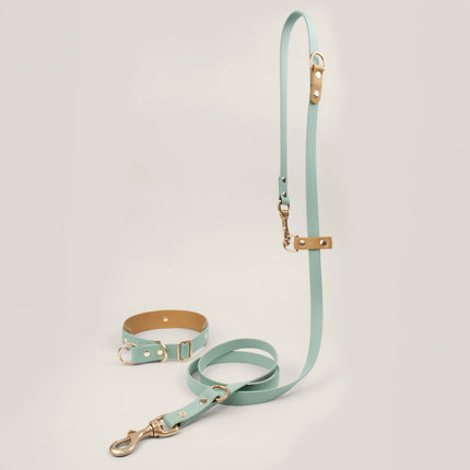 BioThane Set Hundeleine & Halsband | Salbei & Gold