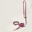 BioThane Set Hundeleine & Halsband | Bordeaux & Oliv