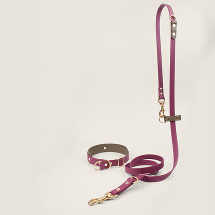 BioThane Set Hundeleine & Halsband | Bordeaux & Oliv