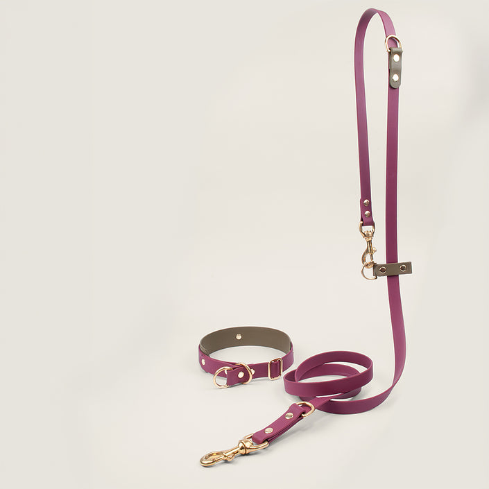 BioThane Set Hundeleine & Halsband | Bordeaux & Oliv