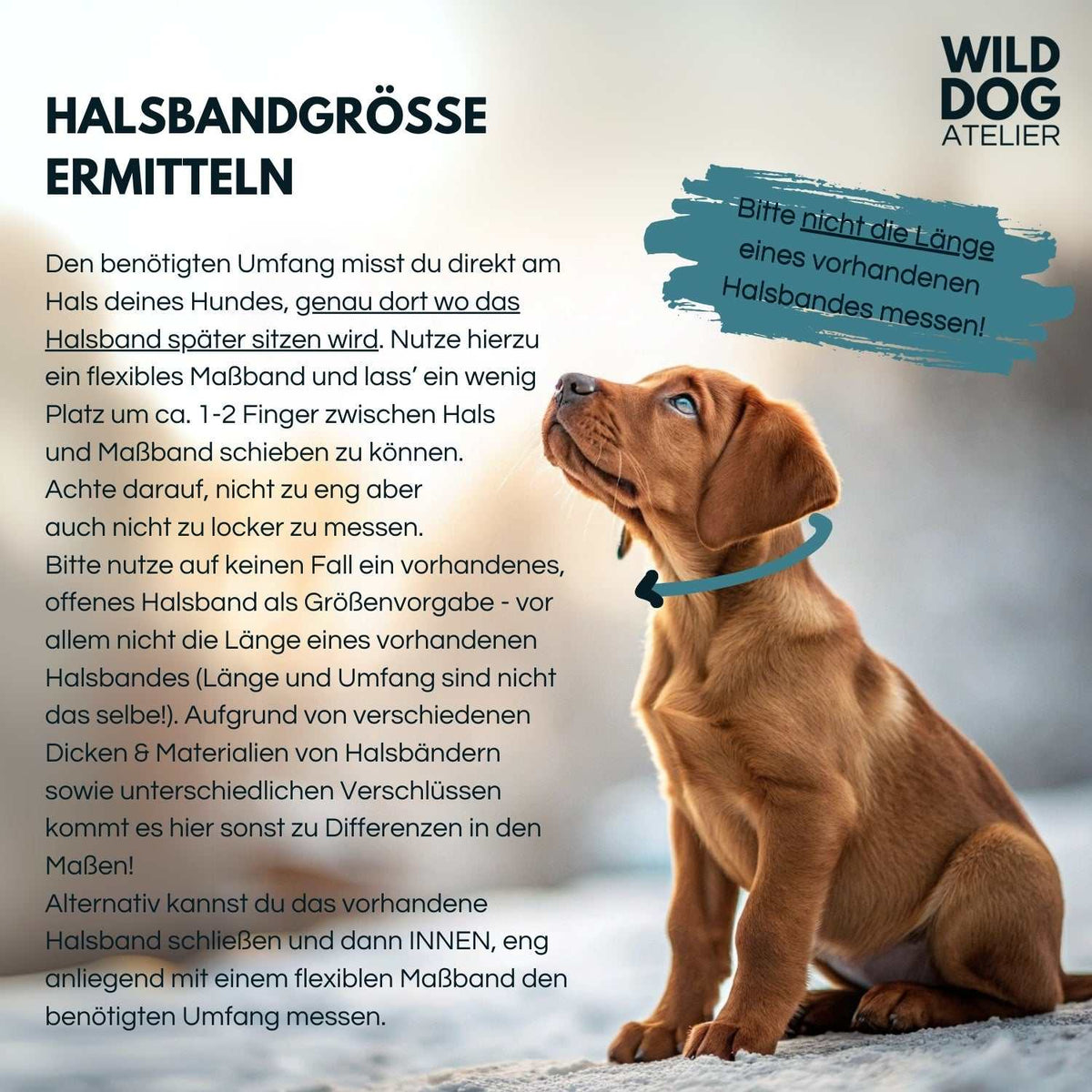 Halsband Zugstopp