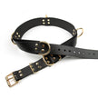WalkBelt Pro - Dogwalker-Gürtel für mehrere Hunde