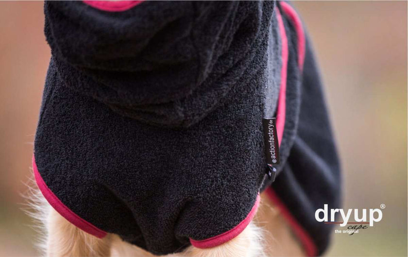 Original DRYUP Cape in Schwarz – Hundebademantel für drinnen und draußen, perfekt für nasse Abenteuer.