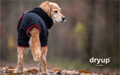 Schwarzer DRYUP Cape Bademantel für Hunde aus 100% Baumwoll-Frottee – ideal nach Regen, Schwimmen und Matsch