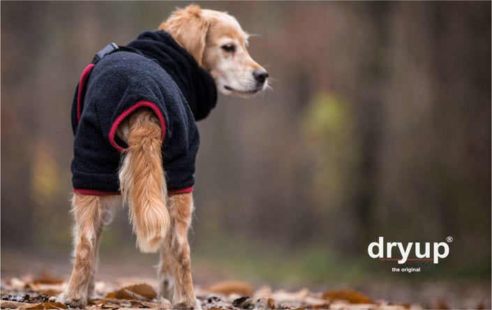 Schwarzer DRYUP Cape Bademantel für Hunde aus 100% Baumwoll-Frottee – ideal nach Regen, Schwimmen und Matsch