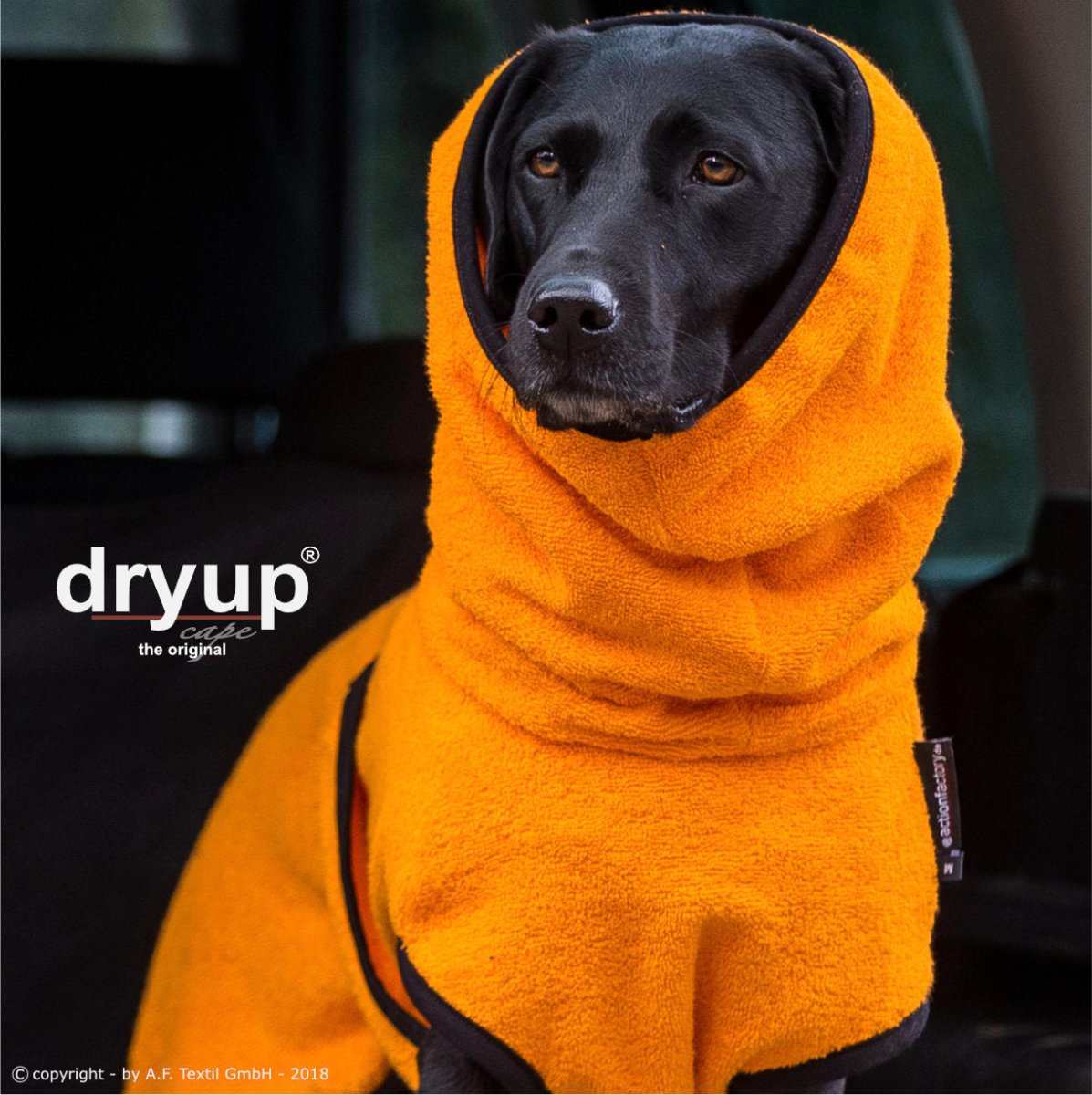 Hundebademantel Orange – Trocknet deinen Hund schnell und schützt vor Erkältungen und Schmutz