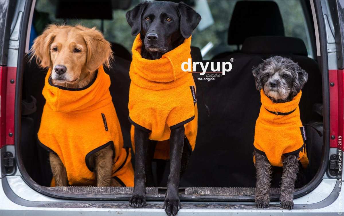 Hundebademantel Orange – Saugstarkes Baumwoll-Frottee für saubere Couch und trockenes Fell - actionfactory