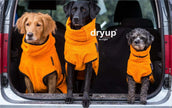 Hundebademantel Orange – Saugstarkes Baumwoll-Frottee für saubere Couch und trockenes Fell - actionfactory
