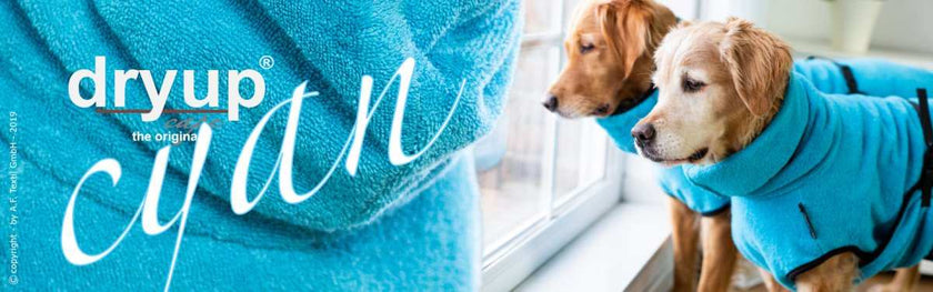 Hellblauer DRYUP Cape Bademantel für Hunde aus 100% Baumwoll-Frottee – ideal nach Regen, Schwimmen und Matsch