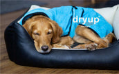 Original DRYUP Cape in Blau – Hundebademantel für drinnen und draußen, perfekt für nasse Abenteuer.