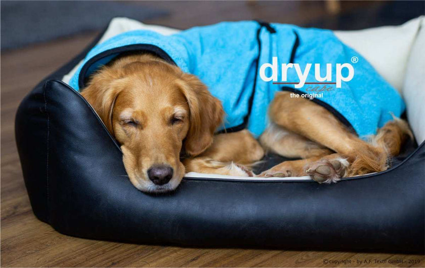Original DRYUP Cape in Blau – Hundebademantel für drinnen und draußen, perfekt für nasse Abenteuer.