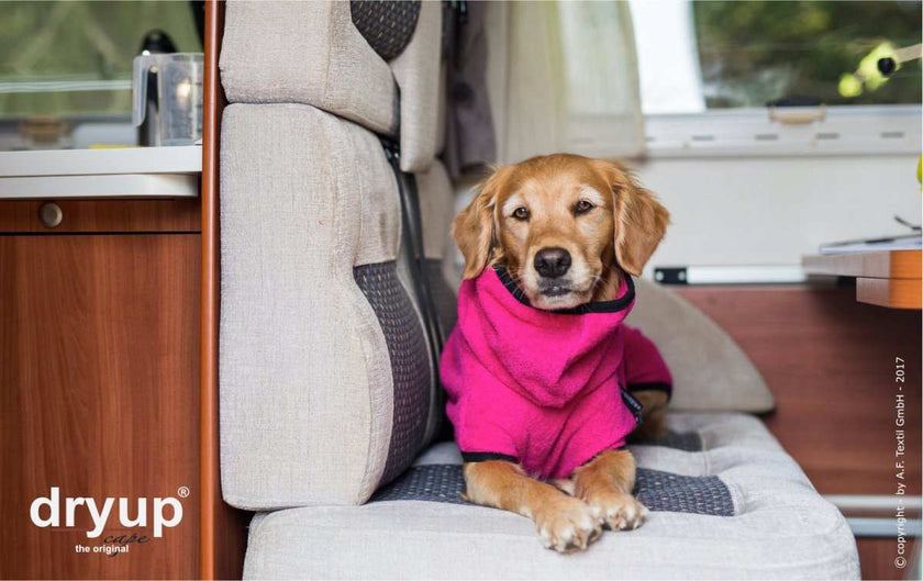 Pinker actionfactory Bademantel für Hunde aus 100% Baumwoll-Frottee – ideal nach Regen, Schwimmen und Matsch