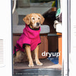 Pinker DRYUP Cape Bademantel für Hunde aus 100% Baumwoll-Frottee – ideal nach Regen, Schwimmen und Matsch