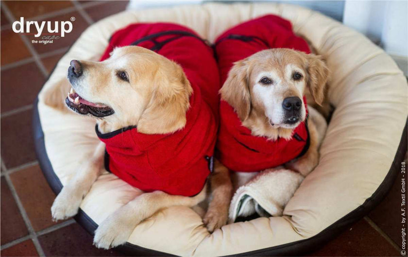Roter DRYUP Cape Bademantel für Hunde aus 100% Baumwoll-Frottee – ideal nach Regen, Schwimmen und Matsch