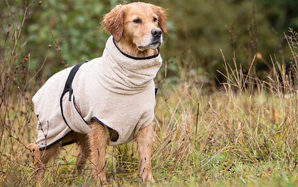Beiger DRYUP Cape Bademantel für Hunde aus 100% Baumwoll-Frottee – ideal nach Regen, Schwimmen und Matsch