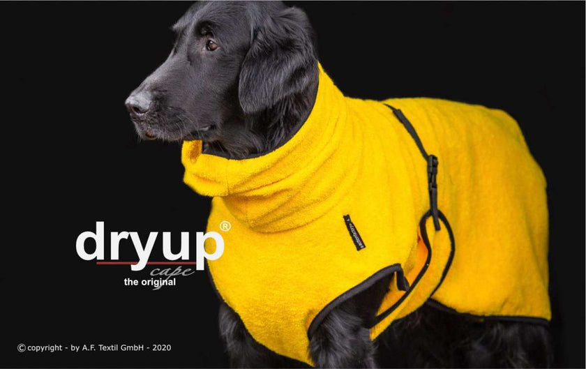 Gelber DRYUP Cape Bademantel für Hunde aus 100% Baumwoll-Frottee – ideal nach Regen, Schwimmen und Matsch
