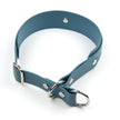 wetterfestes halsband aus biothane, breit unterlegt, individuell konfigurierbar, persönlich, absolut rostfrei, edelstahl oder messing. zugstopp-halsband mit würgestopp