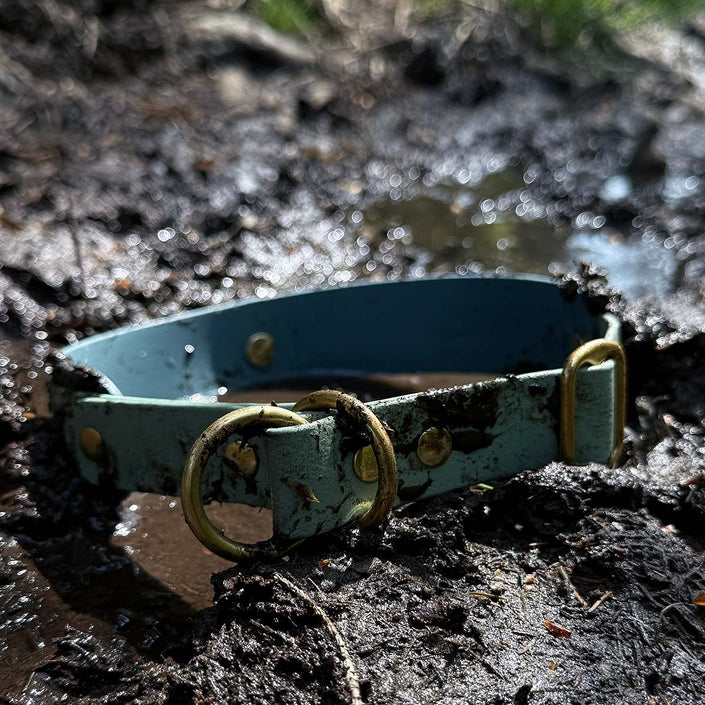 halsband aus biothane, breit unterlegt, individuell konfigurierbar, persönlich, absolut rostfrei, edelstahl oder messing. zugstopp-halsband mit würgestopp, wasserfest
