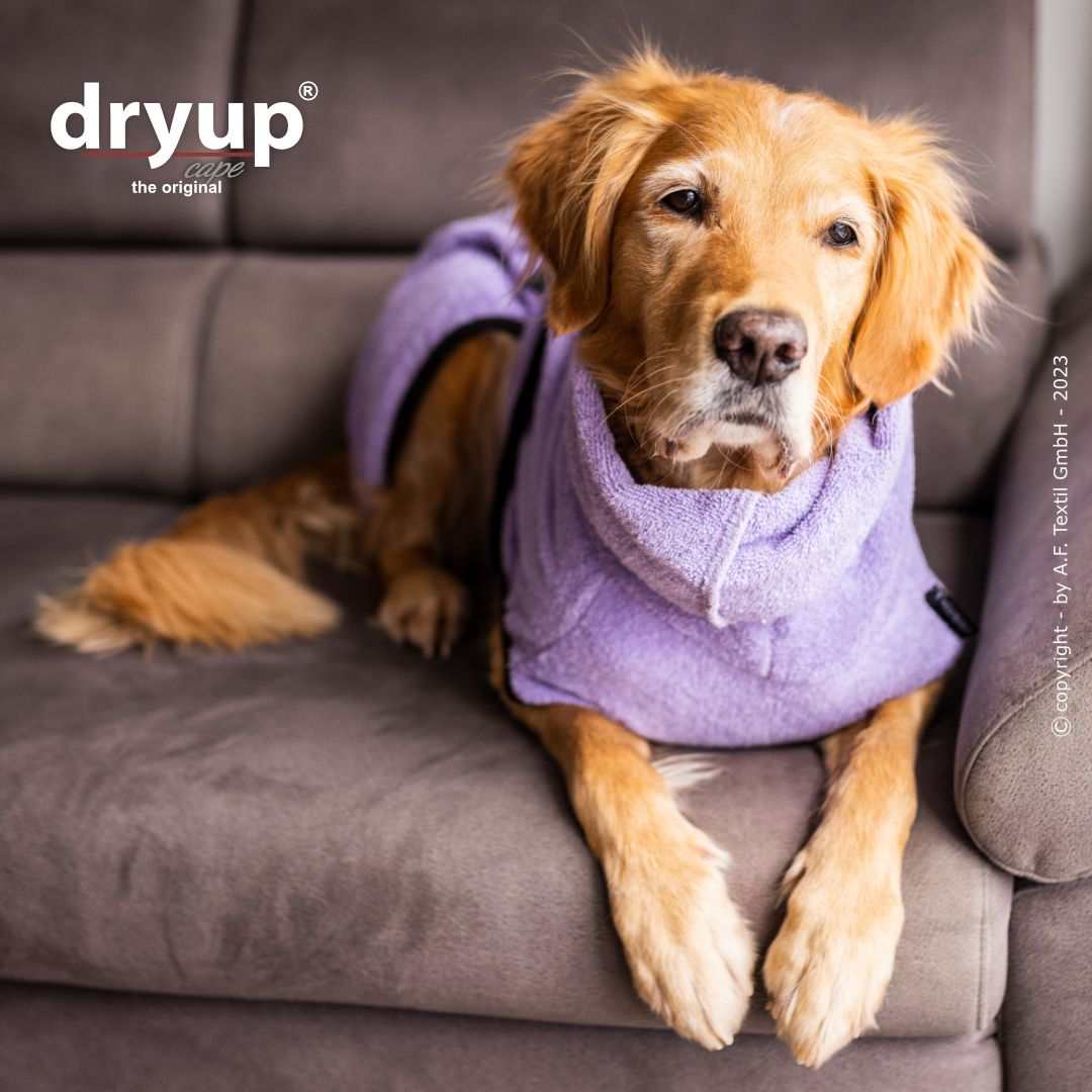 DRYUP CAPE® Hundebademantel Lavendel