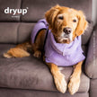 DRYUP CAPE® Hundebademantel Lavendel