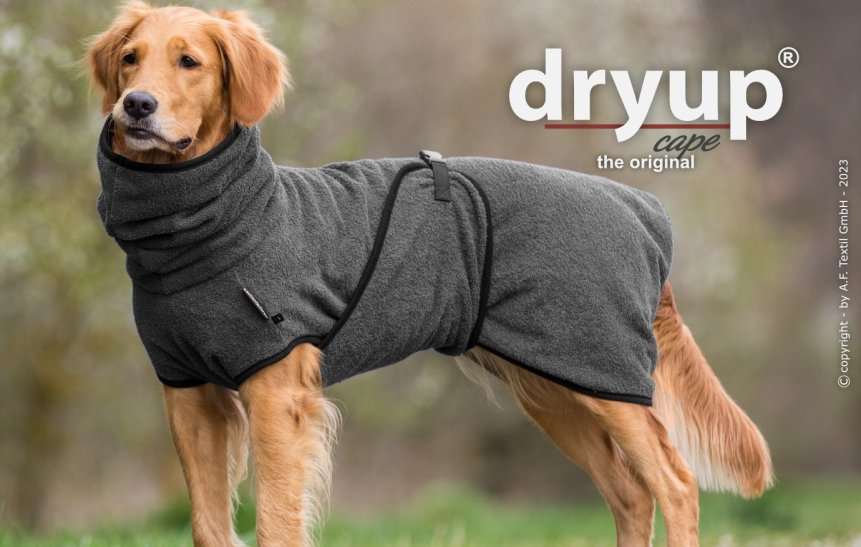 Grauer DRYUP Cape Bademantel für Hunde aus 100% Baumwoll-Frottee – ideal nach Regen, Schwimmen und Matsch