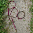 BioThane Set Hundeleine & Halsband | Bordeaux & Oliv