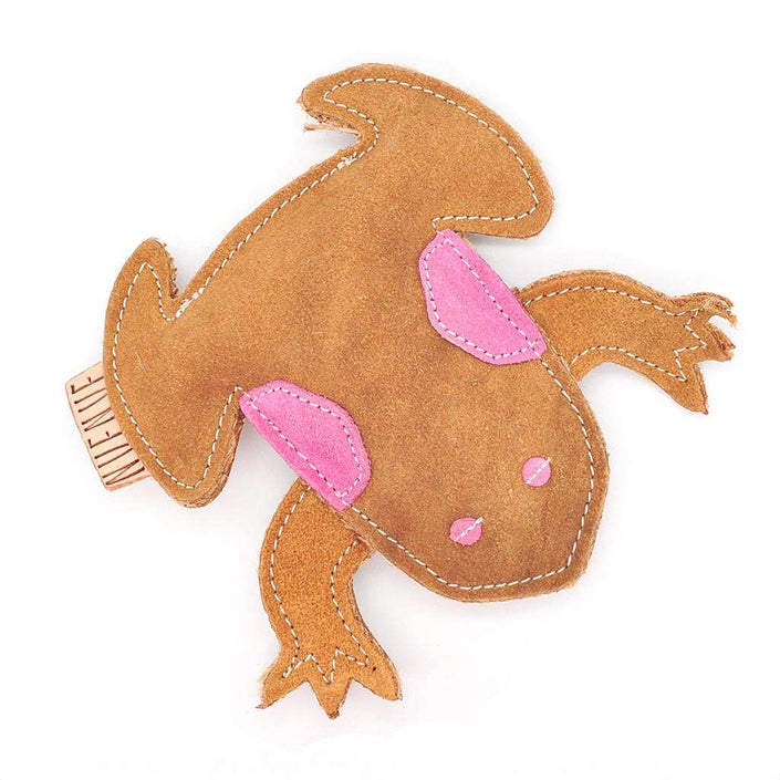 Ungefährliches Hundespielzeug Frosch aus nachhaltigen Materialien, ohne Quietschi