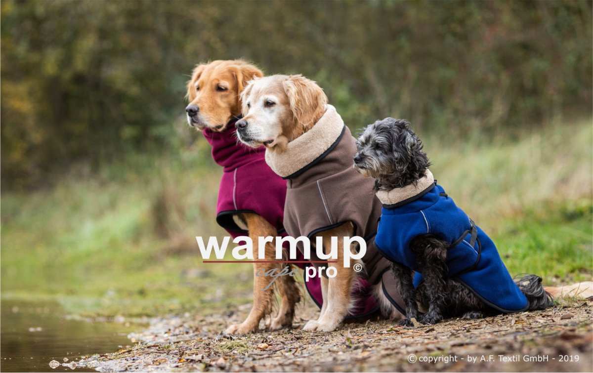 Hund im WARMUP Cape Pro Blau – Ideal nach Regen oder Training, mit Rollkragen und verstellbarem Schnallenverschluss